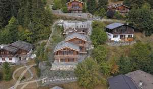 Verkauf Chalet Verbier