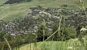 Verkauf Chalet Verbier