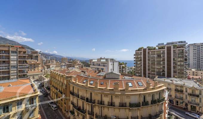 Verkauf Wohnung Monaco