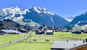 Vermietung Wohnung Gstaad