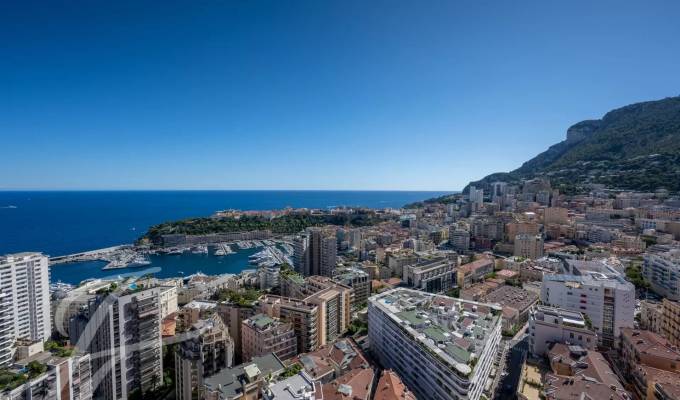 Vermietung Wohnung Monaco